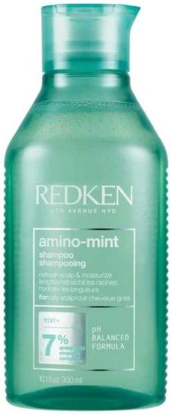 Redken Amino Mint Shampooing