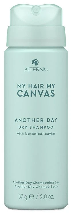 Alterna My Hair My Canvas Another Day Shampooing Sec â Image 2