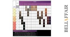 Schwarzkopf Igora Expert Mousse Nuancier