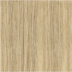 SHE Extensions à La Kératine Cheveux Naturels Blond Clair Cendré - Couleur 24