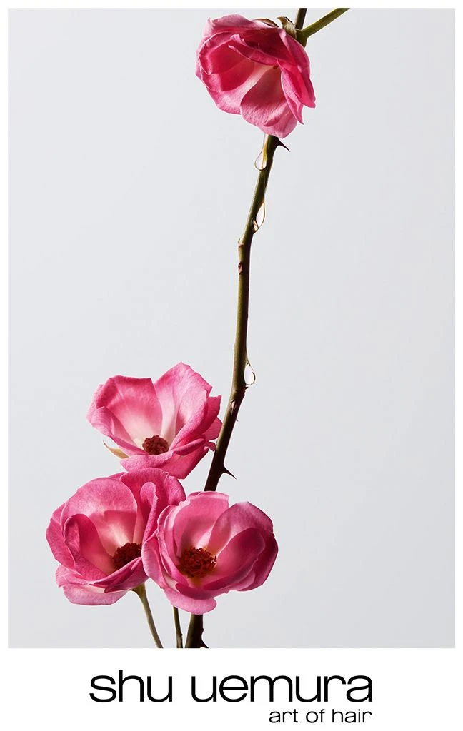 Shu Uemura Color Lustre Masque Brillance Pour Cheveux ColorĂ©s â Image 3