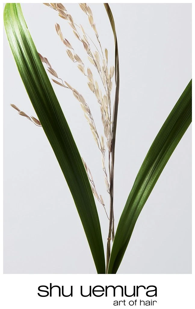 Shu Uemura Ultimate Reset Duo-Sérum Réparation Extrême – Image 3